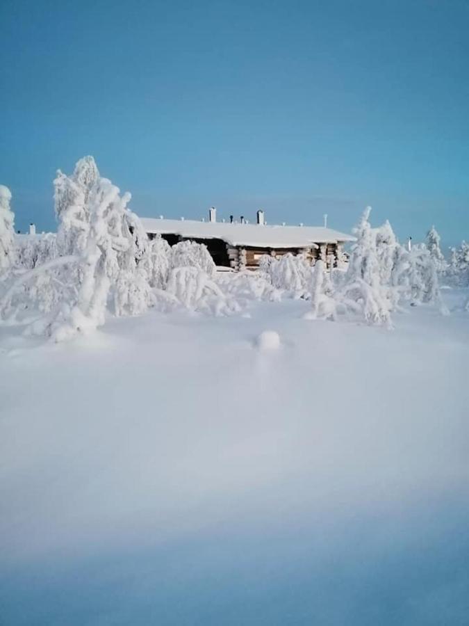 Sielikkoe Aurora Log Apartments Saariselkä Eksteriør billede