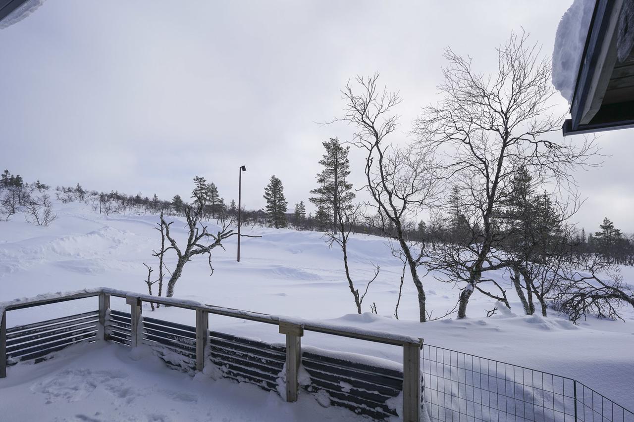 Sielikkoe Aurora Log Apartments Saariselkä Eksteriør billede