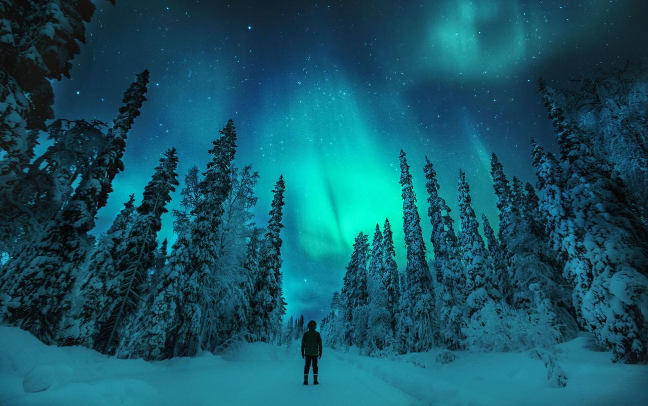 Sielikkoe Aurora Log Apartments Saariselkä Eksteriør billede